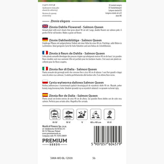 Zinnia fior di Dalia - Salmon Queen - Tonalità delicata e pastello dei fiori - Zinnia elegans