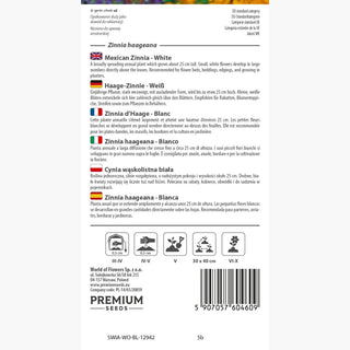 Zinnia haageana - Bianco - Fiori delicati dal colore candido - Zinnia angustifolia