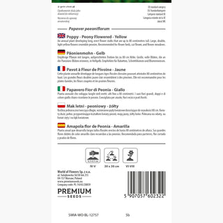 Papavero Fior di Peonia - Giallo - Decorazione dorata per aiuole - Papaver paeoniflorum