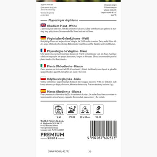 Pianta Obbediente - Bianco - Sottilezza e fascino dei giardini naturali - Physostegia virginiana