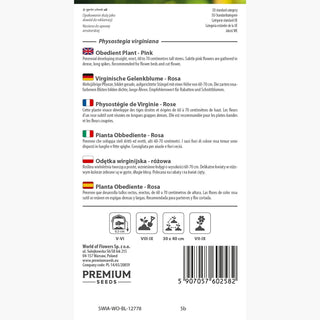 Pianta Obbediente - Rosa - Elegante composizione perenne - Physostegia virginiana