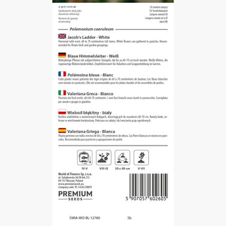 Valeriana Greca - Bianco - Decorazione naturale e romantica per giardini - Polemonium caeruleum