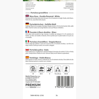 Portulaca Grandiflora - Doppia Bianco - Fiori pieni perfetti per giardini rocciosi - Portulaca grandiflora