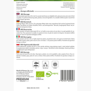 BIO Borragine - Bella e utile pianta mellifera - Borago officinalis